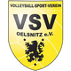 VSV Oelsnitz